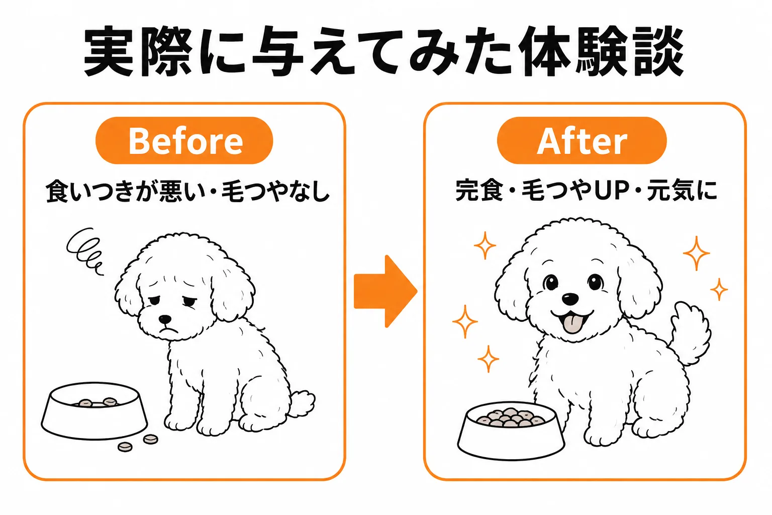 モグワンを与えた体験談・ビフォーアフター