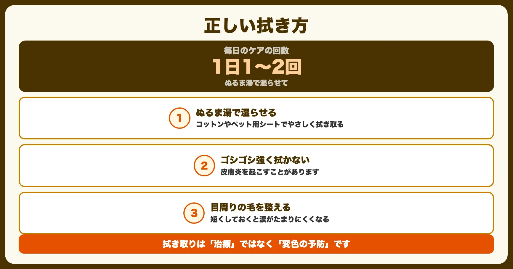 正しい拭き方（毎日のケア）
