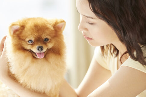 犬を心配する女性