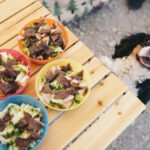 机の上のご飯を覗く犬